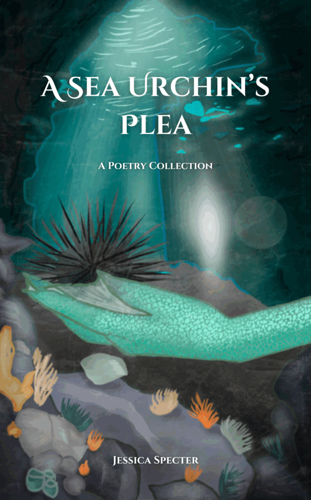 Small poetry collection with nautical artworks. Edgar Alan Poe relative. Contemporary poetry. American poetry.