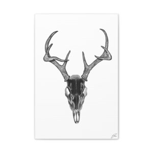 stag skull black and white realism art print